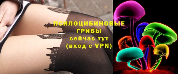 сатива Костерёво