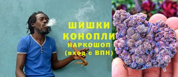 сатива Костерёво
