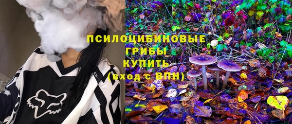 соль ск Кинешма