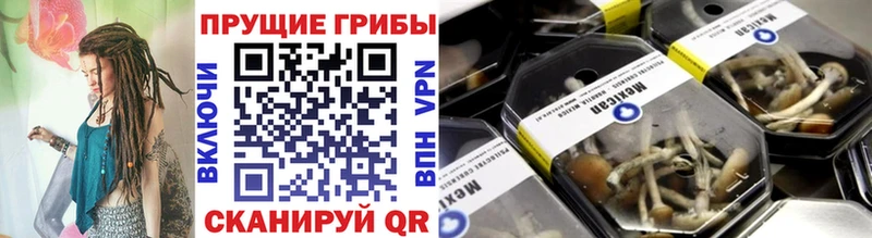 Псилоцибиновые грибы MAGIC MUSHROOMS  наркотики  MEGA ТОР  Тайга 