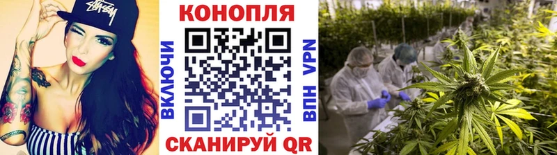 kraken ONION  сколько стоит  Тайга  МАРИХУАНА ГИДРОПОН 